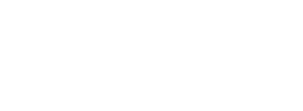 RSM EV